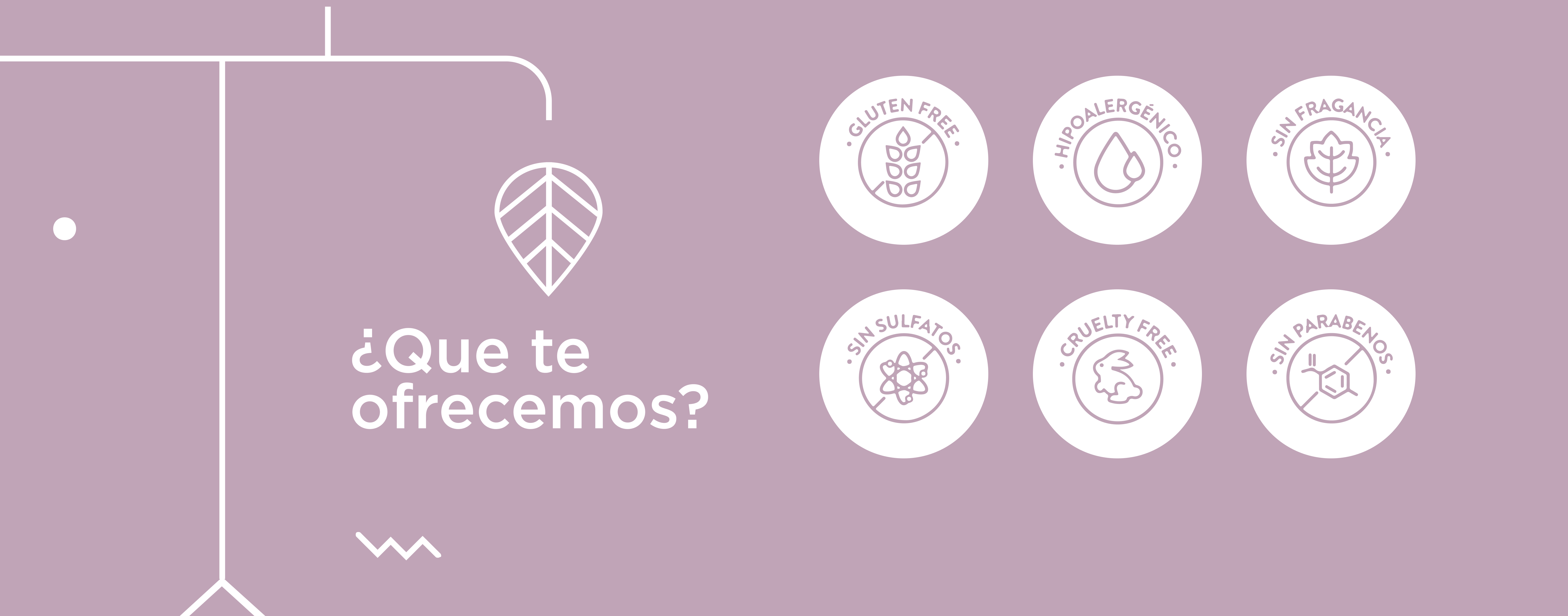  ¿Que te ofrecemos?